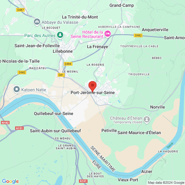 google map