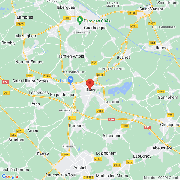 google map