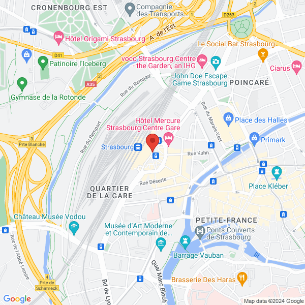 google map