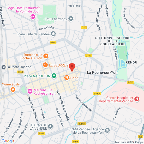 google map