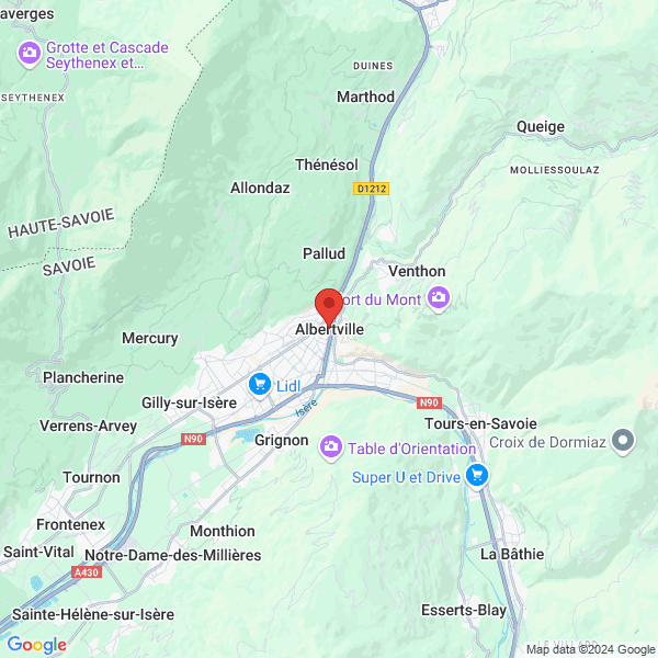 google map