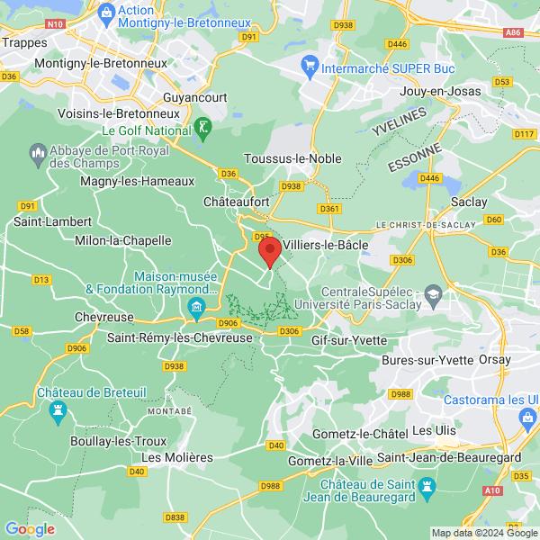 google map