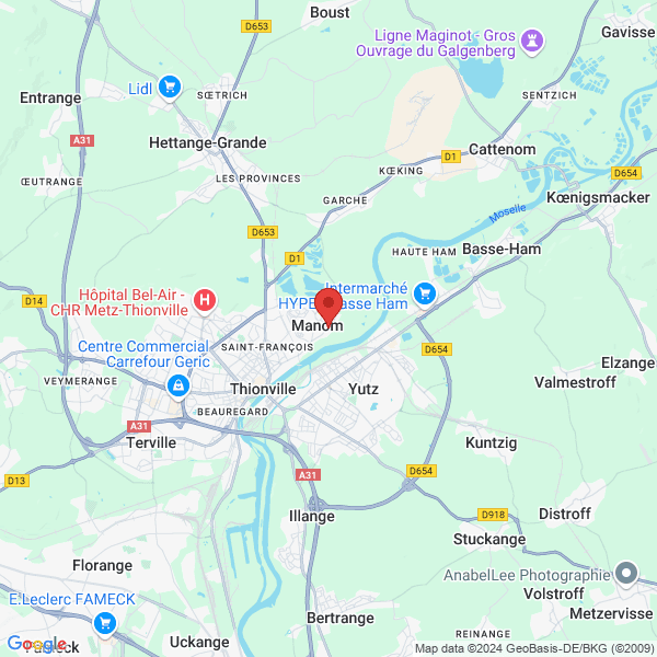 google map